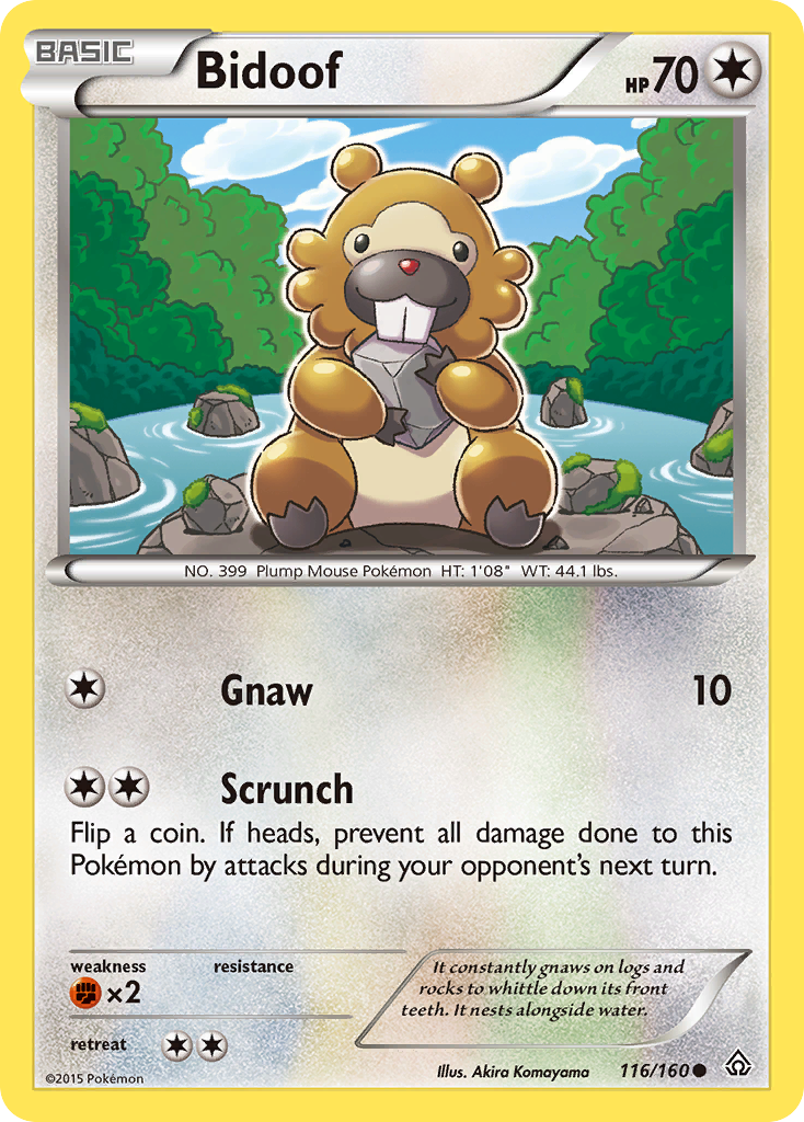 Bidoof (116/160) [XY: Primal Clash] | Shuffle n Cut Hobbies & Games